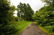 EHG4765_CAW15_North Lodge Rd_05.jpg