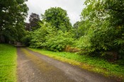 EHG4765_CAW15_North Lodge Rd_07.jpg