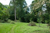 EHG4765_CAW15_Village woodland Path_01.jpg