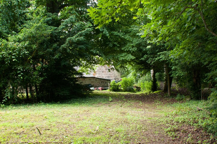 EHG4765_CAW15_Village Woodland Path_03.jpg