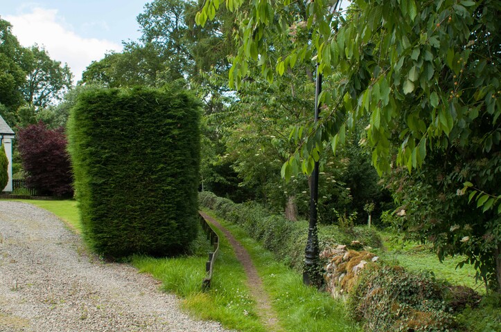 EHG4765_CAW15_Village Woodland Path_04.jpg