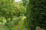 EHG4765_CAW15_Village Woodland Path_05.jpg