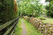 EHG4765_CAW15_Village Woodland Path_06.jpg