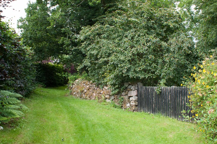 EHG4765_CAW15_Village Woodland Path_08.jpg