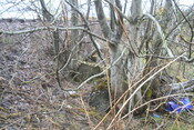 EHG4766_170b.JPG