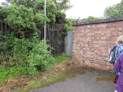 EHG4766_527.JPG