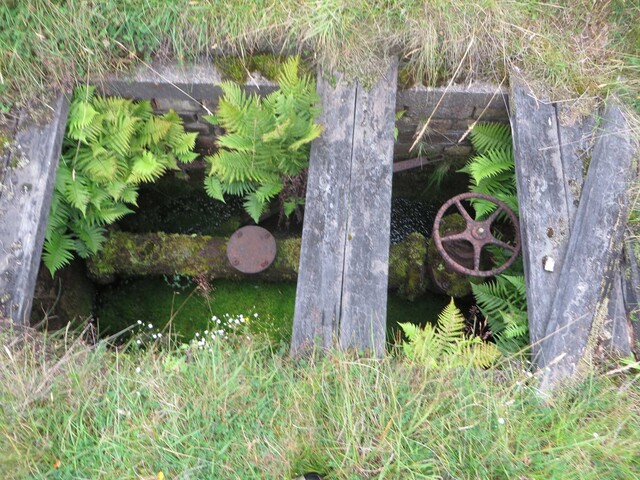 EHG4766_686.JPG
