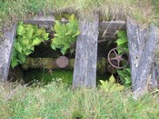 EHG4766_686.JPG