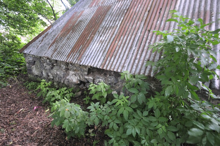 MHG3076_2015_17.jpg