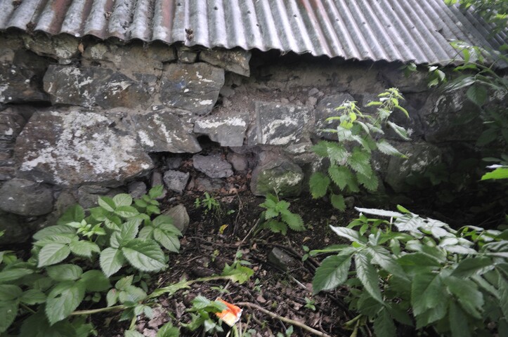 MHG3076_2015_18.jpg