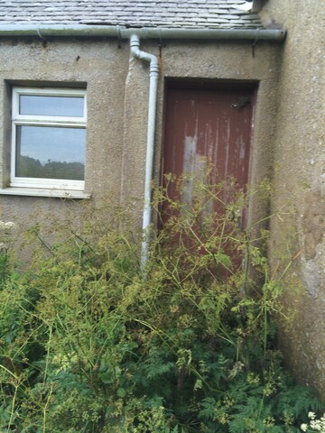 EHG4786_Back Door.JPG