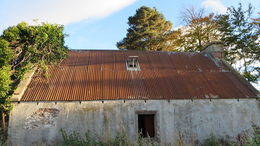 EHG4796_Back + roof.JPG