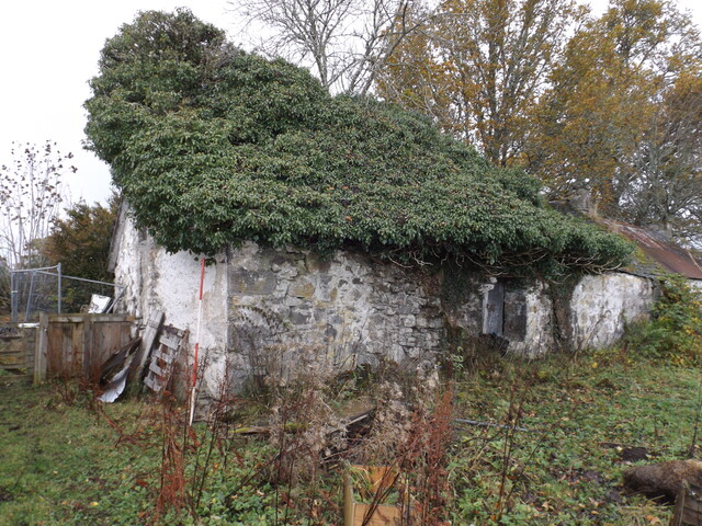 EHG4799_survey_11.JPG