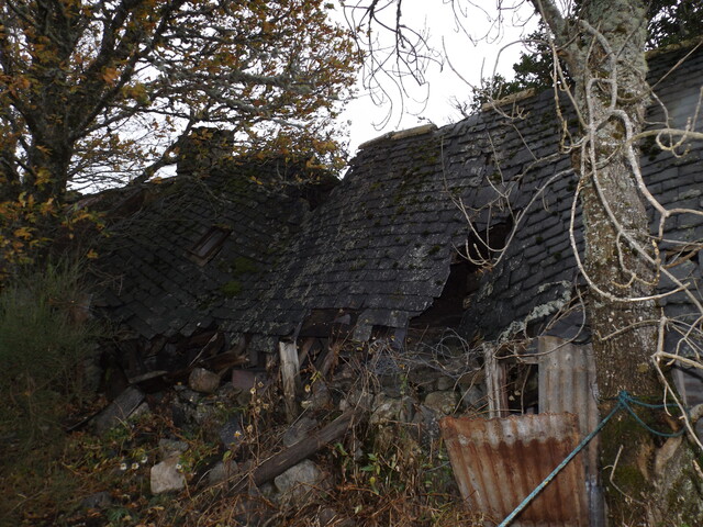 EHG4799_survey_19.JPG