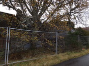 EHG4799_survey_24.JPG
