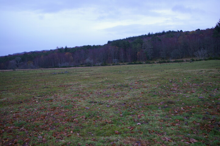 EHG4799_trench_04.JPG