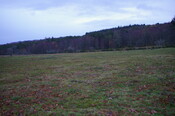 EHG4799_trench_04.JPG