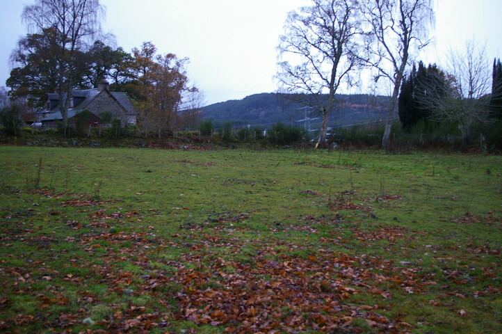 EHG4799_trench_08.JPG