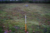 EHG4799_trench_10.JPG