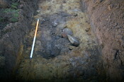 EHG4799_trench_29.JPG