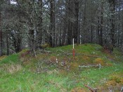 EHG4800_photo_01.JPG