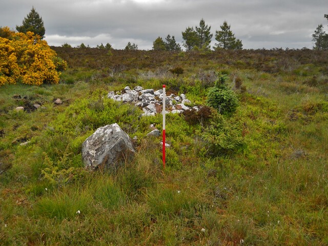 EHG4800_photo_11.JPG