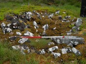 EHG4800_photo_16.JPG
