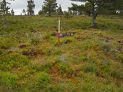 EHG4800_photo_19.JPG