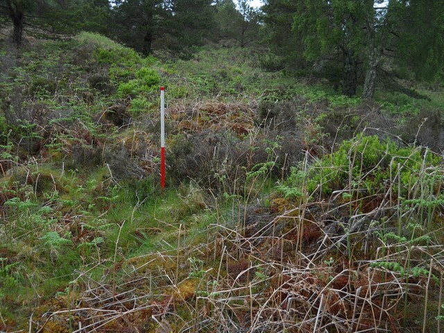 EHG4800_photo_24.JPG