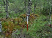 EHG4800_photo_25.JPG