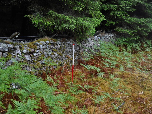 EHG4800_photo_26.JPG