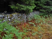 EHG4800_photo_26.JPG