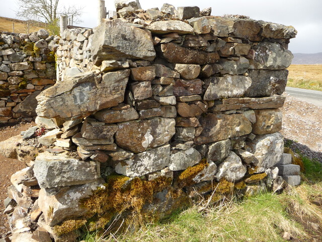EHG4811_03.JPG