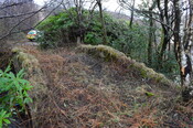 EHG4825_05.JPG