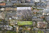 EHG4826_02.JPG