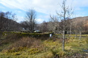 EHG4826_H.JPG