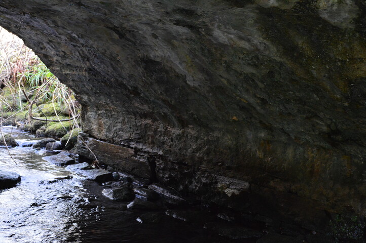 EHG4825_14.JPG