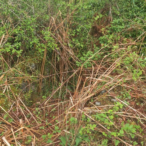 EHG4844_10.JPG