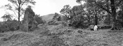 EHG4844_18.jpg