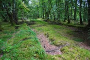 EHG4844_25.JPG