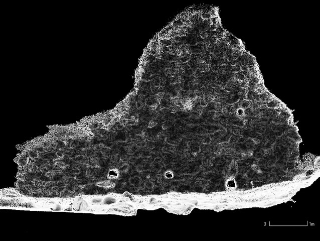 EHG4844_LaserScan_08.jpg