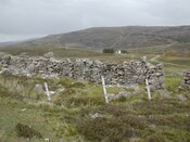 New@ NC 1400 0142 (1).JPG