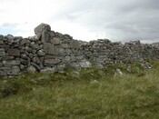 New@ NC 1400 0142 (2).JPG