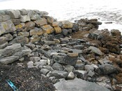 New@ NH 0780 8860 (2).JPG