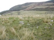 New@ NH 184 853 (1).JPG