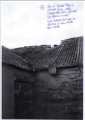 EHG4904_g.jpg