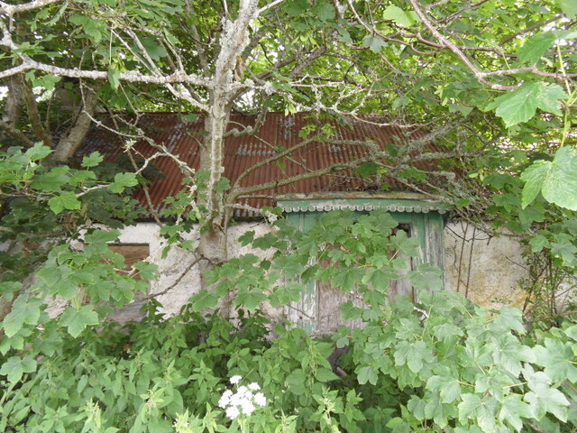 EHG4905_04.JPG