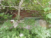 EHG4905_04.JPG