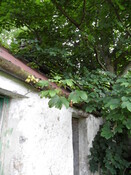 EHG4905_05.JPG