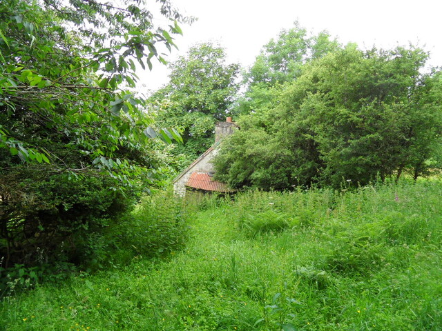 EHG4905_12.JPG